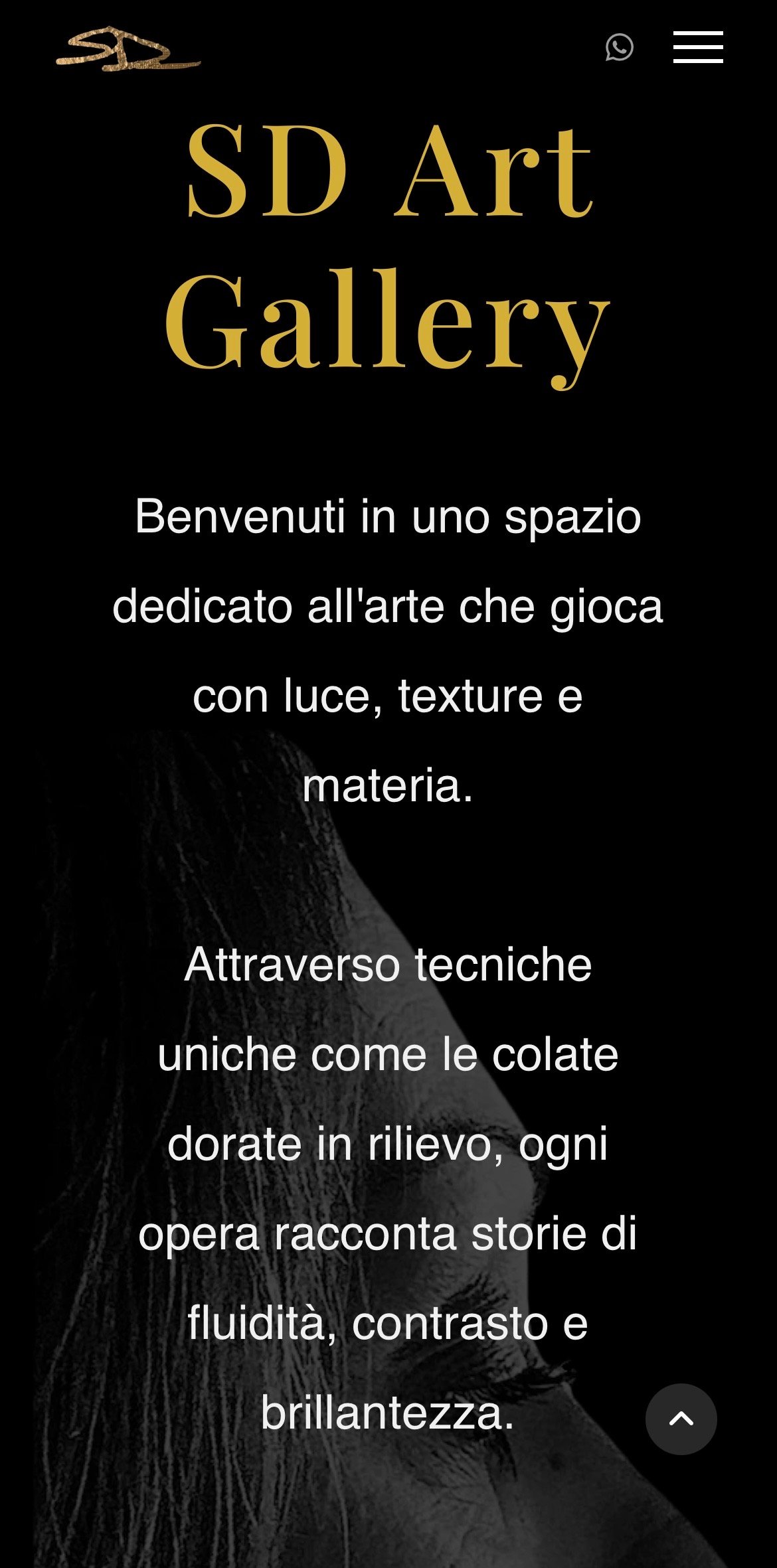 Home page SD Art Gallery